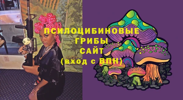 не бодяженный Алзамай